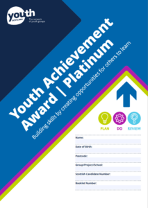 The cover for the Platinum Youth Achievement Award, featuring a bold dark blue arrow.